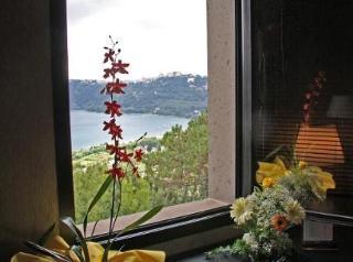 Grand Hotel Villa Dei Papi Марино Екстериор снимка